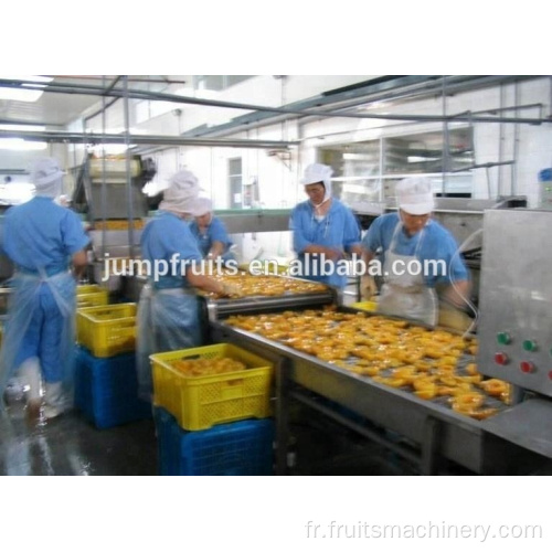 Usine de transformation de l&#39;ananas de fournitures d&#39;usine de l&#39;usine Shanghai